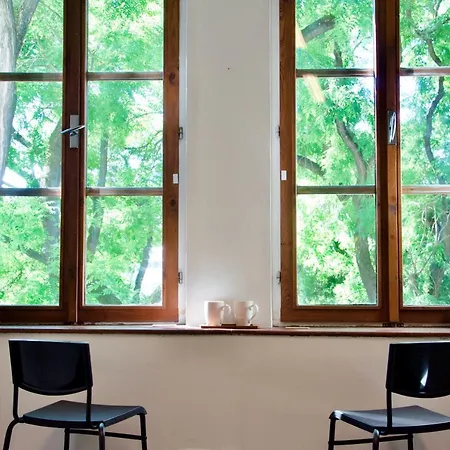 Elephants Bratislava